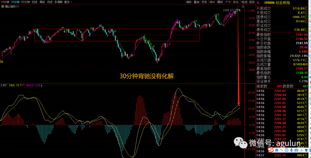 揭秘胆码走势变化分析的奥秘，探索艺术与策略之道